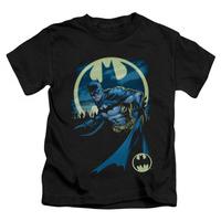 Youth: Batman - Heed The Call