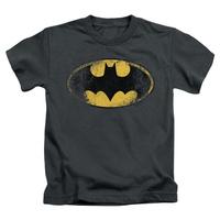 Youth: Batman - Destroyed Logo