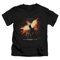 Youth: Dark Knight Rises - Fire Will Rise
