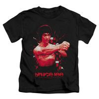 youth bruce lee the shattering fist
