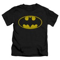 Youth: Batman - Washed Bat Logo