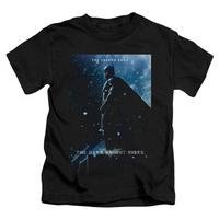 Youth: Dark Knight Rises - Batman Poster