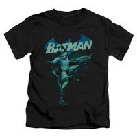 Youth: Batman - Blue Bat