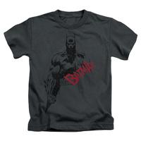 Youth: Batman - Sketch Bat Red Logo