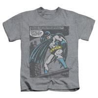 Youth: Batman - Bat Origins