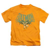 Youth: Batman - Flying Bat