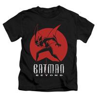 Youth: Batman Beyond - Perched