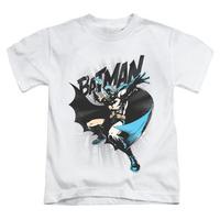 Youth: Batman - Batarang Throw