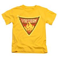 youth batman the brave and the bold firestorm shield