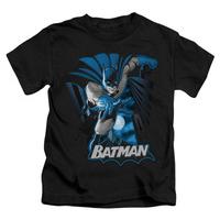 youth batman batman blue gray