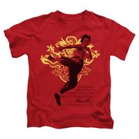 youth bruce lee immortal dragon