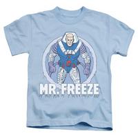 Youth: Batman - Mr Freeze