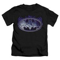 Youth: Batman - Cracked Shield