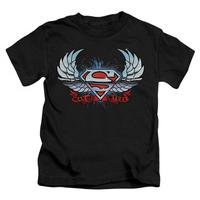 youth superman chrome wings shield