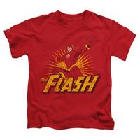 Youth: The Flash - Flash Rough Distress