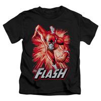 youth the flash flash red gray