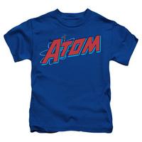 Youth: DC Comics - The Atom