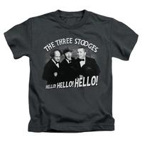 youth the three stooges hello again