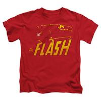 Youth: The Flash - Flash Speed Distressed