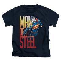 Youth: Superman - Steel Flight