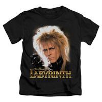 Youth: Labyrinth - Jareth