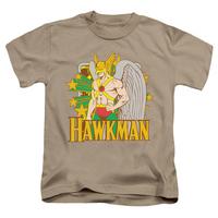 Youth: Hawkman - Hawkman Stars