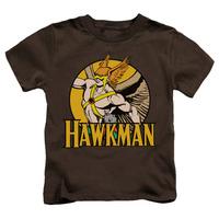 Youth: Hawkman - Hawkman