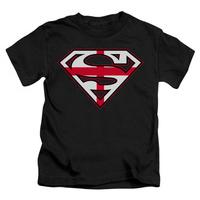 Youth: Superman - English Shield