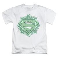 youth superman ornate shield