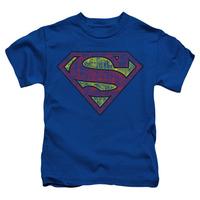 Youth: Superman - Tattered Shield