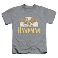 Youth: Hawkman - Fly By