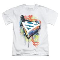 Youth: Superman - Urban Shields