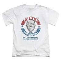youth the three stooges curly for president