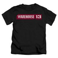 Youth: Warehouse 13 - Logo
