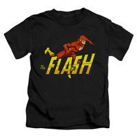 Youth: The Flash - 8 Bit Flash