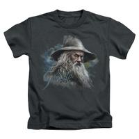 Youth: The Hobbit - Gandalf The Grey