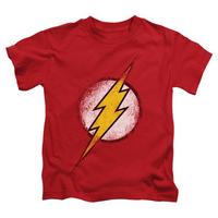 Youth: The Flash - Destroyed Flash Logo