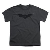 Youth: Batman Begins - Logo