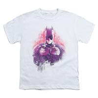 Youth: Dark Knight Rises - Spray Bat