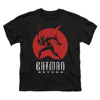 Youth: Batman Beyond - Perched