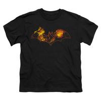 Youth: Batman - Molten Logo