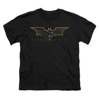 Youth: Batman Begins - Coming Through