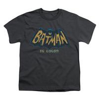 Youth: Batman Classic TV - In Color