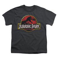 Youth: Jurassic Park - Stone Logo