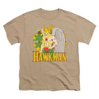 Youth: Hawkman - Hawkman Stars