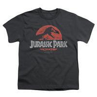 Youth: Jurassic Park - Faded Logo