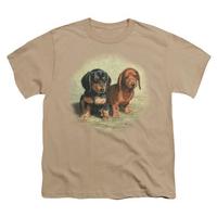 Youth: Wildlife - Dachshund Pups