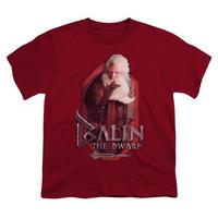 Youth: The Hobbit: An Unexpected Journey - Balin