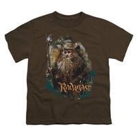 Youth: The Hobbit - Radagast The Brown