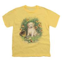 Youth: Wildlife - A Prince Perhaps Yellow Lab